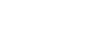 White Logo